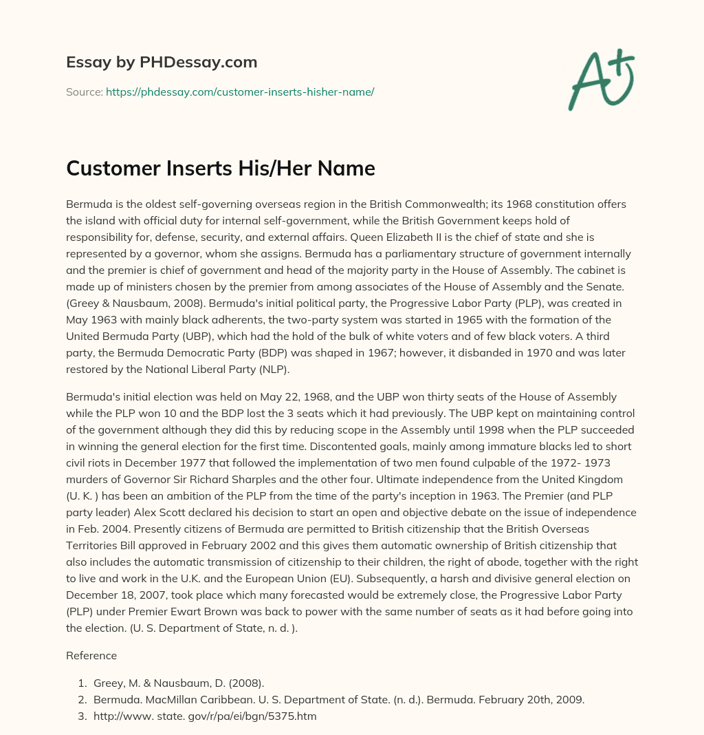 Customer Inserts His/Her Name essay