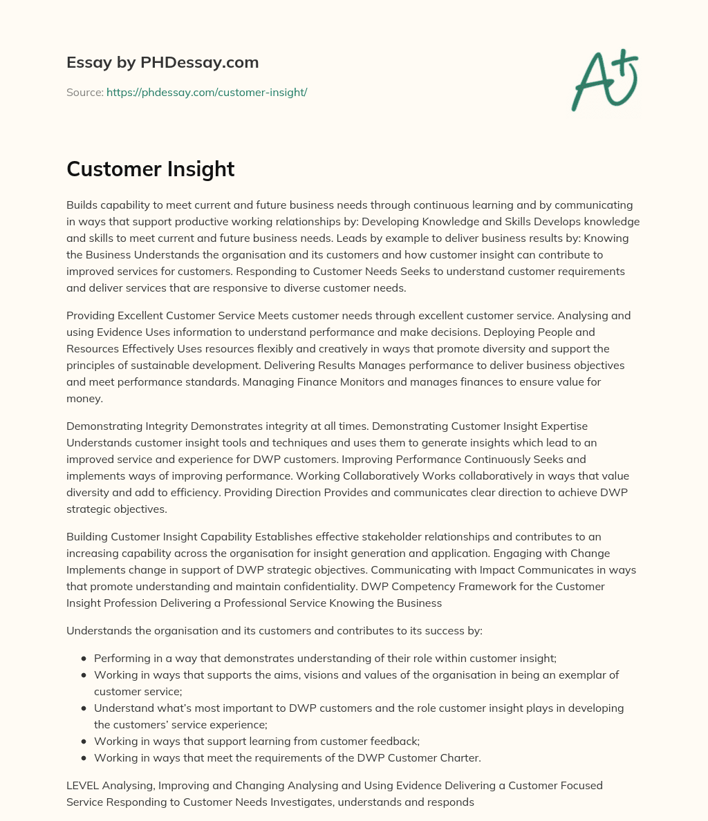 Customer Insight essay