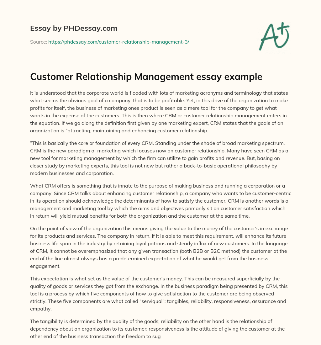 Customer Relationship Management essay example essay