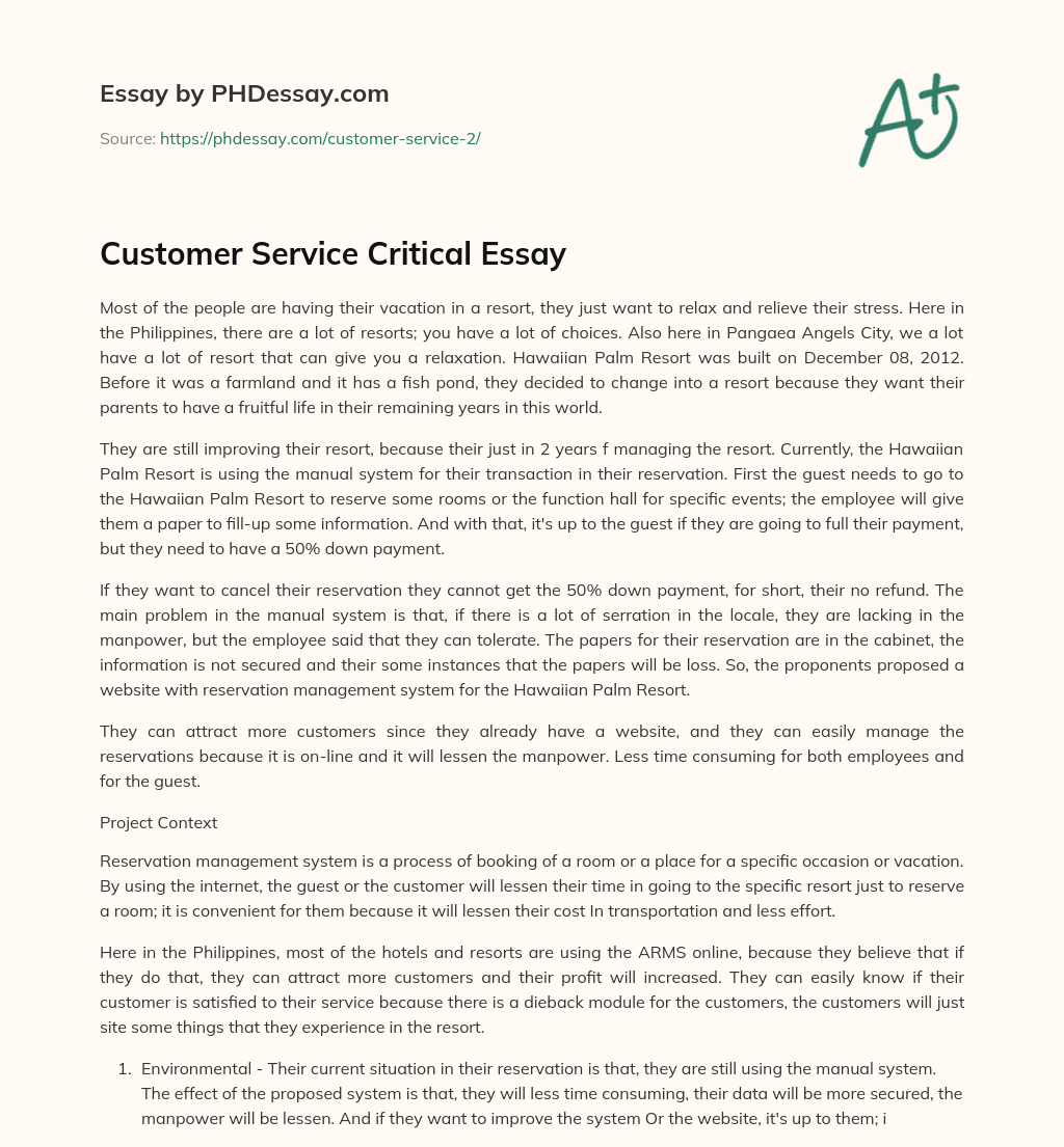 Customer Service Critical Essay essay