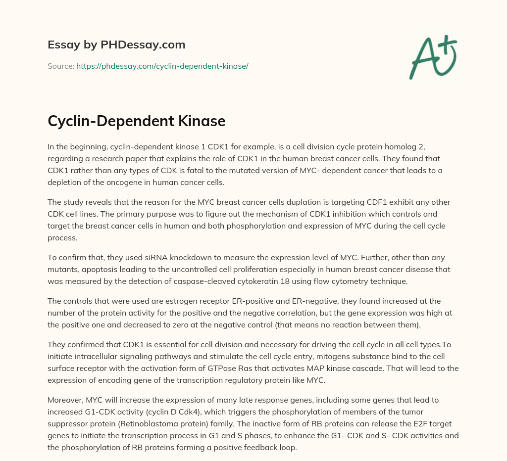 Cyclin-Dependent Kinase essay
