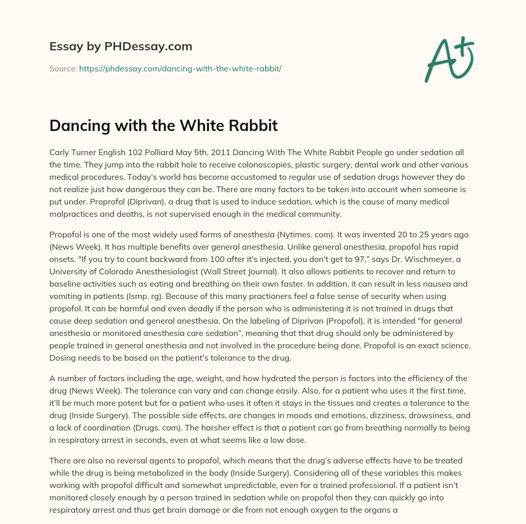 Dancing with the White Rabbit essay