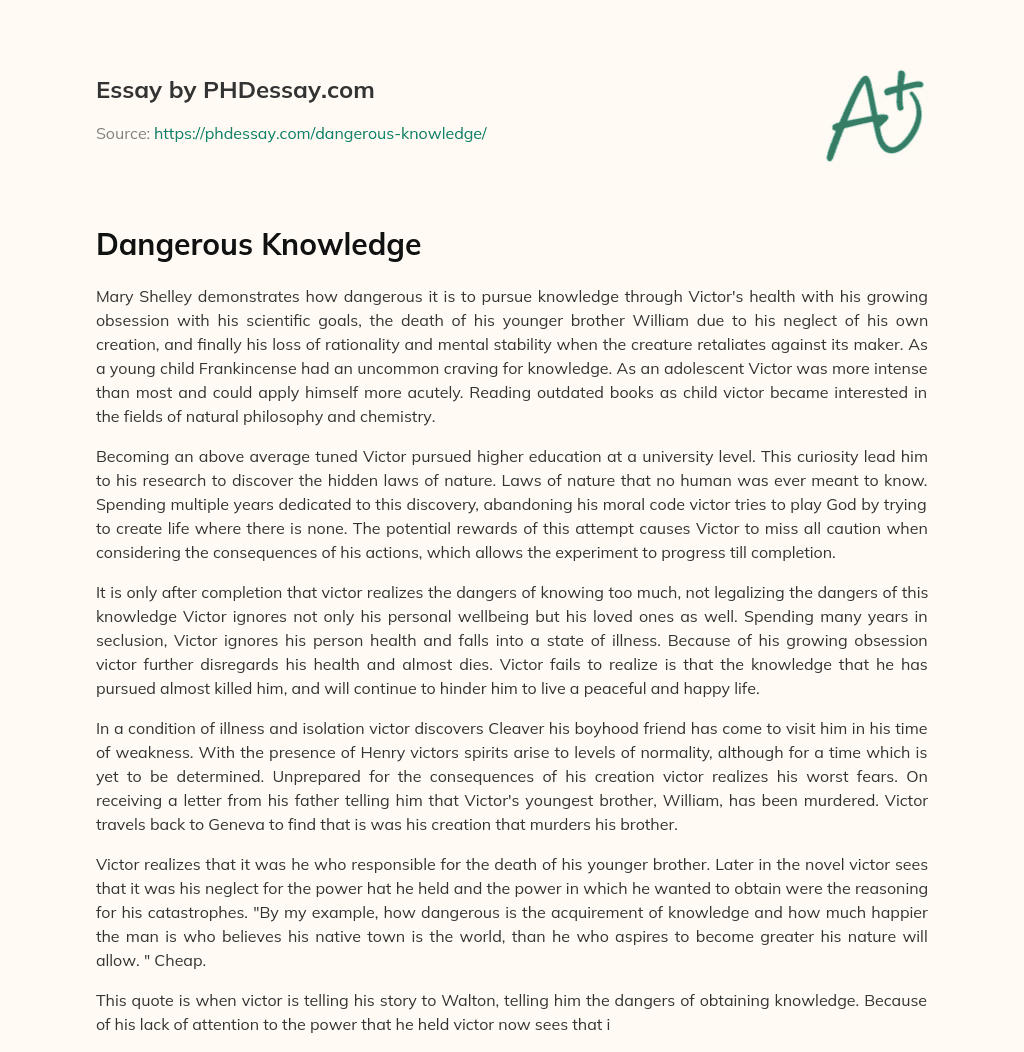 Dangerous Knowledge essay