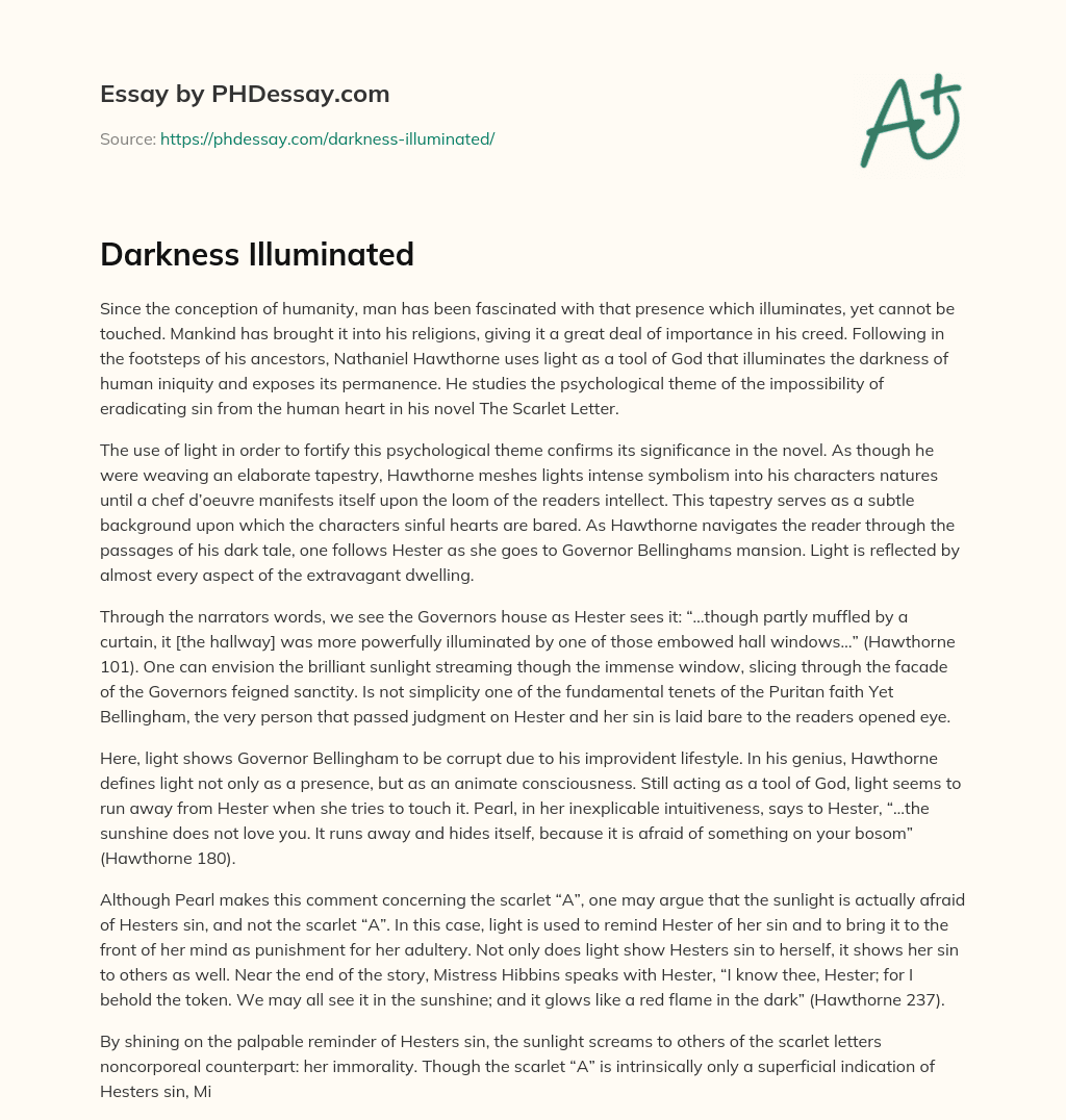 Darkness Illuminated essay