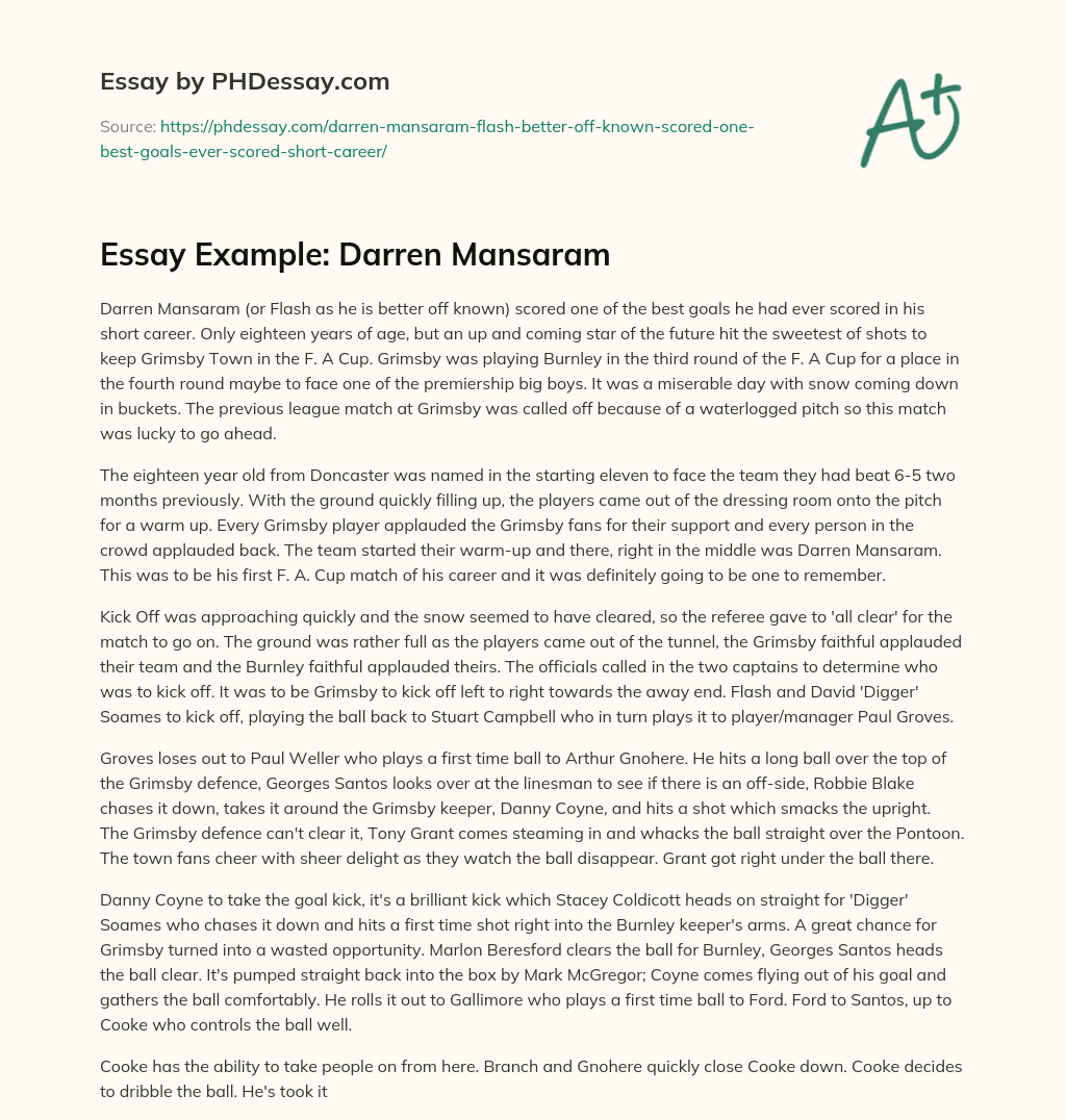 Essay Example: Darren Mansaram essay