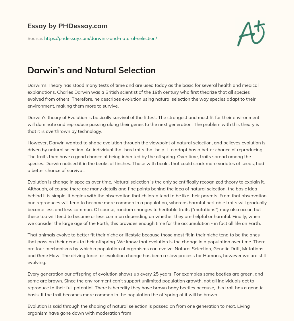 Darwin’s and Natural Selection essay