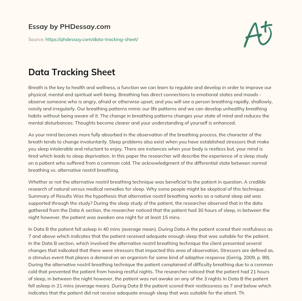 Data Tracking Sheet essay
