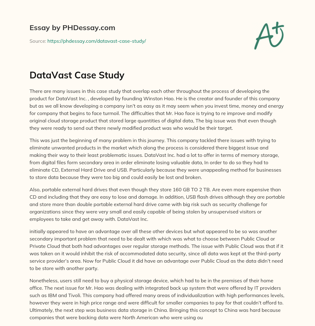 DataVast Case Study essay