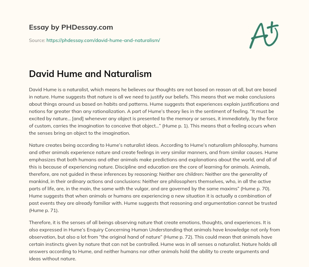 David Hume and Naturalism essay