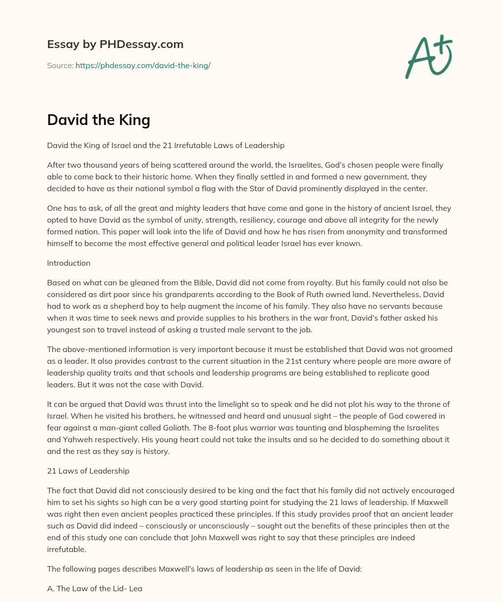 David the King essay