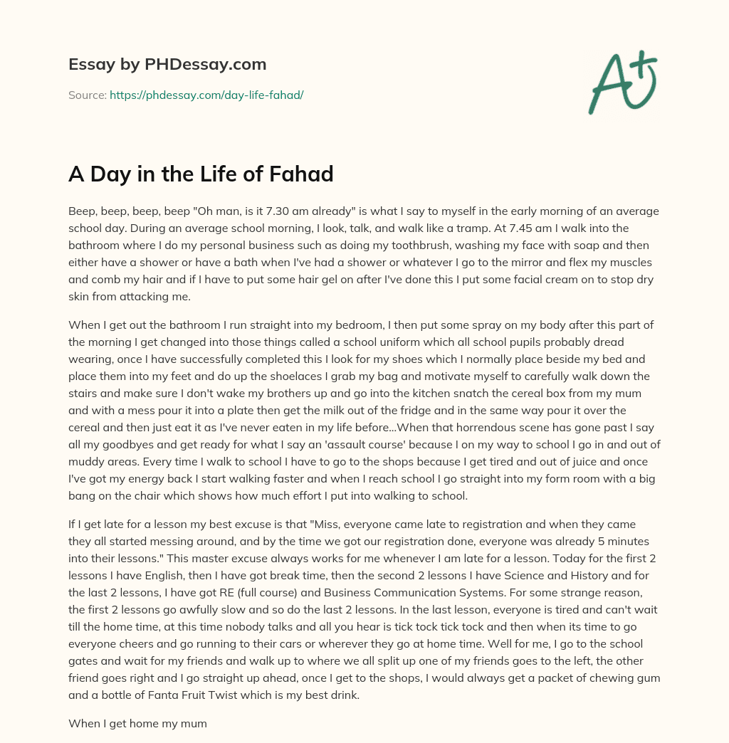 A Day in the Life of Fahad essay