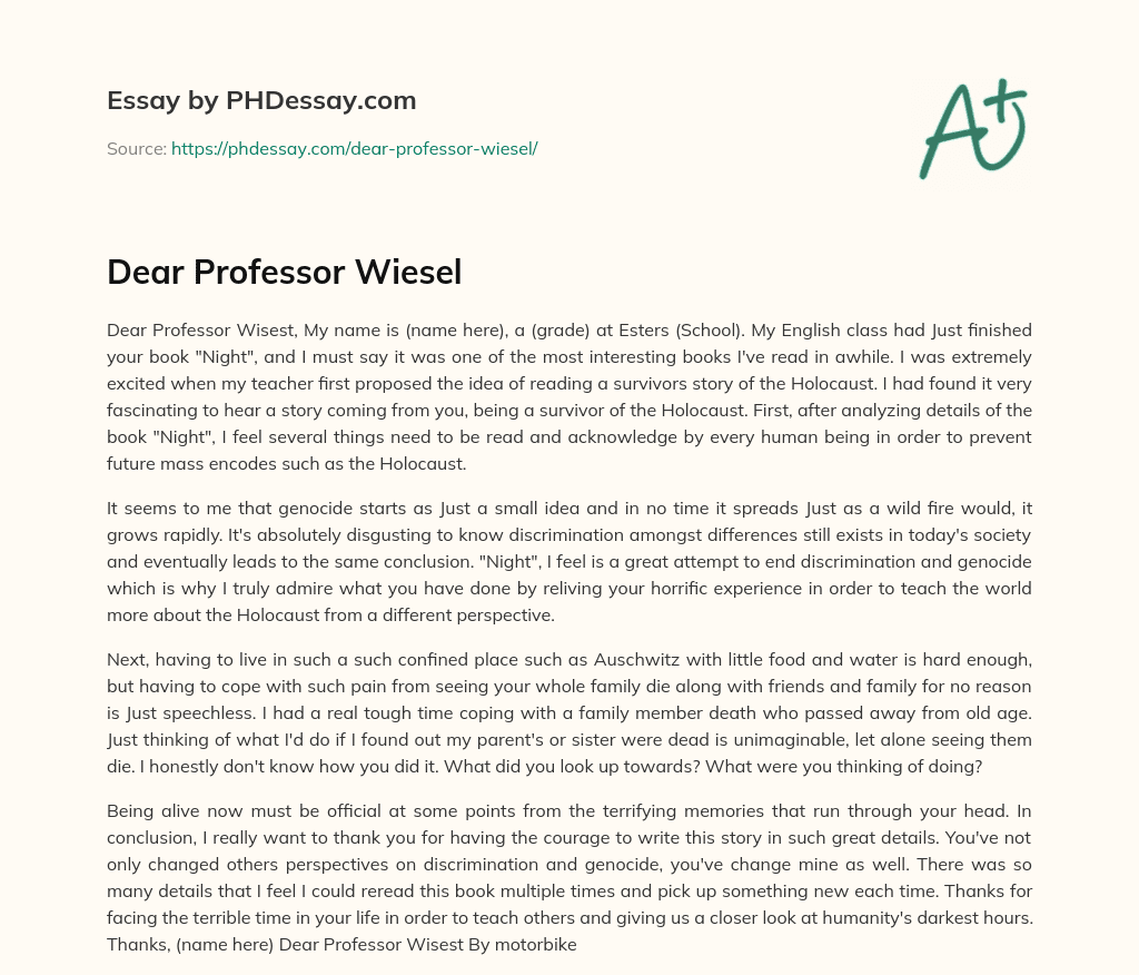 Dear Professor Wiesel essay