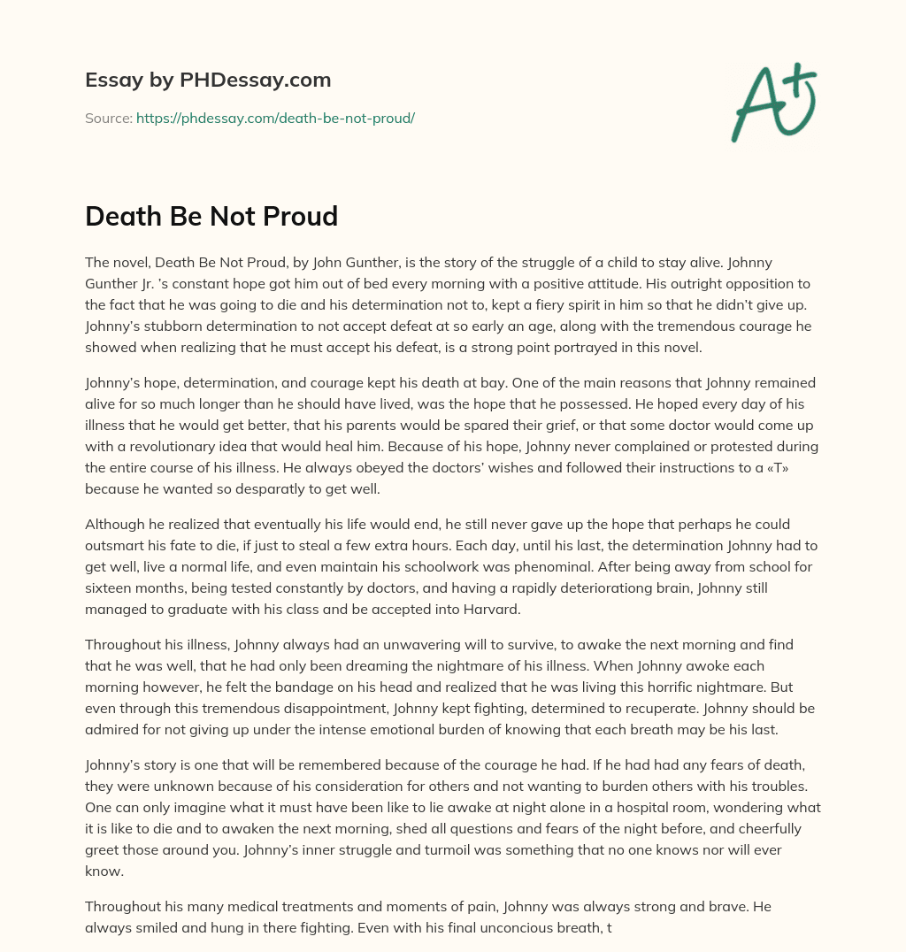 Death Be Not Proud essay