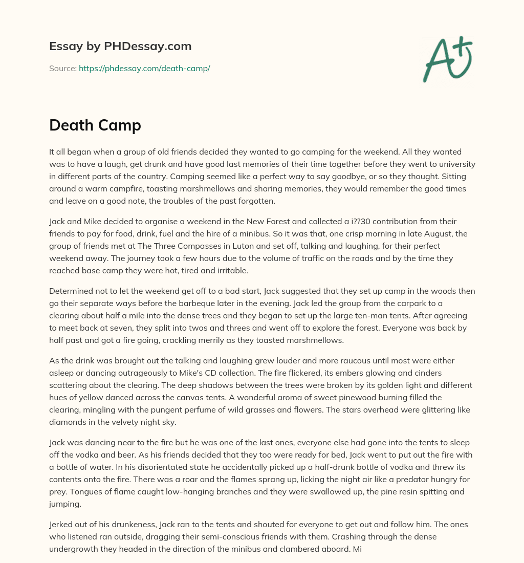 Death Camp essay