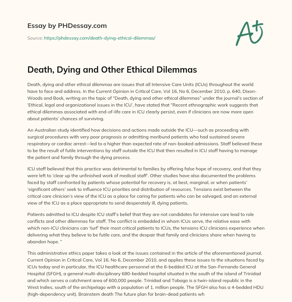 Death, Dying and Other Ethical Dilemmas essay