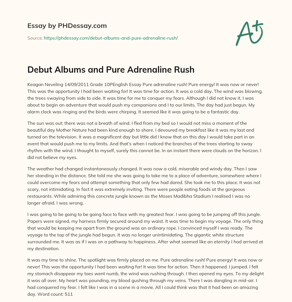 Debut Albums and Pure Adrenaline Rush essay