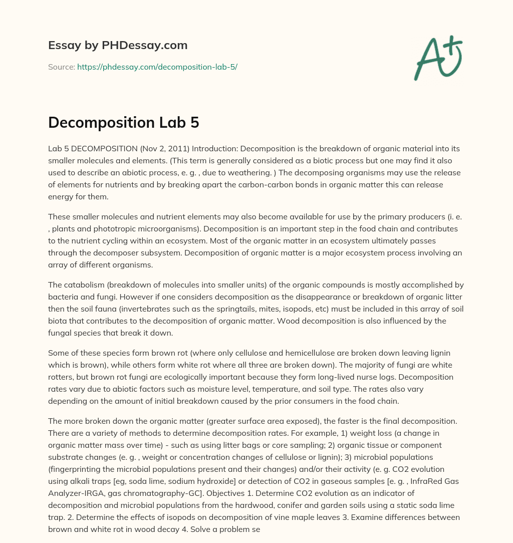 Decomposition Lab 5 essay