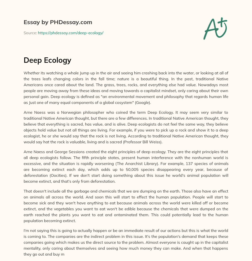 Deep Ecology essay