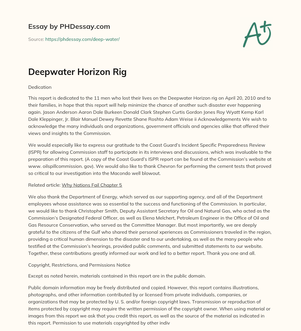 Deepwater Horizon Rig essay
