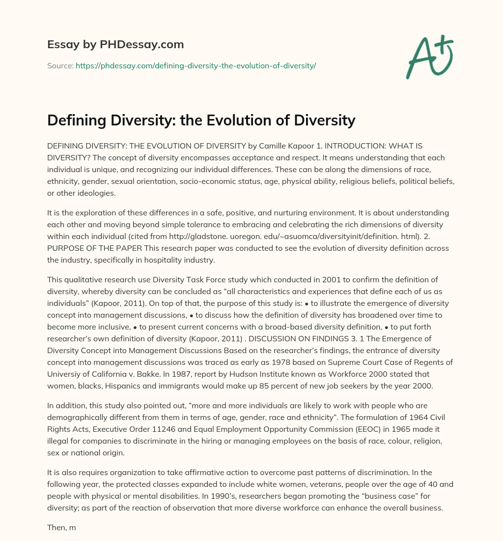 definition of diversity essay