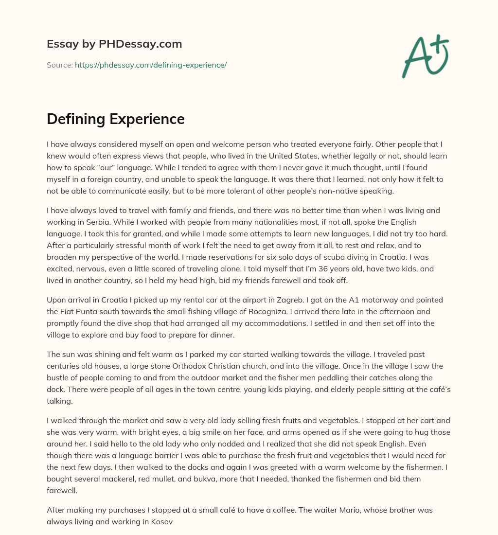 Defining Experience essay