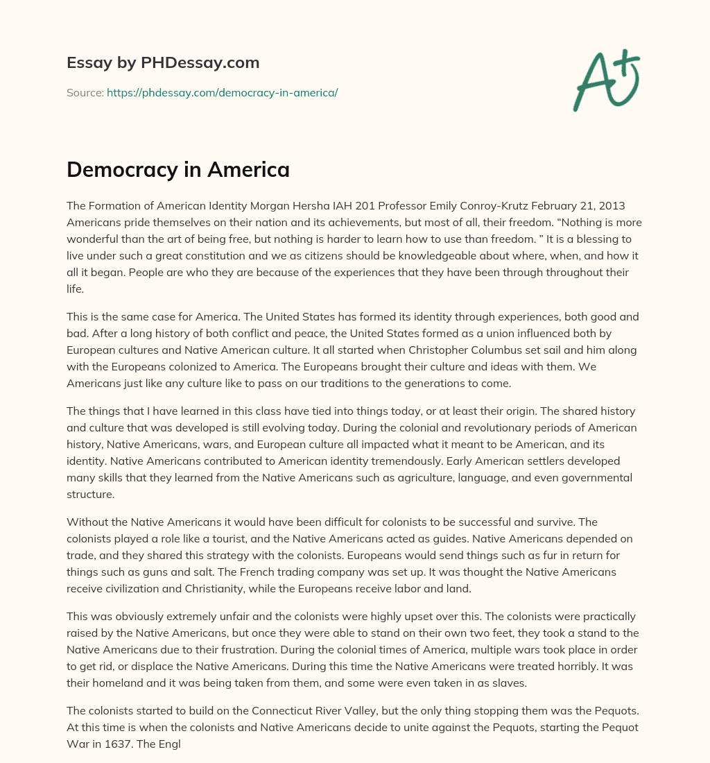 essay on america democracy