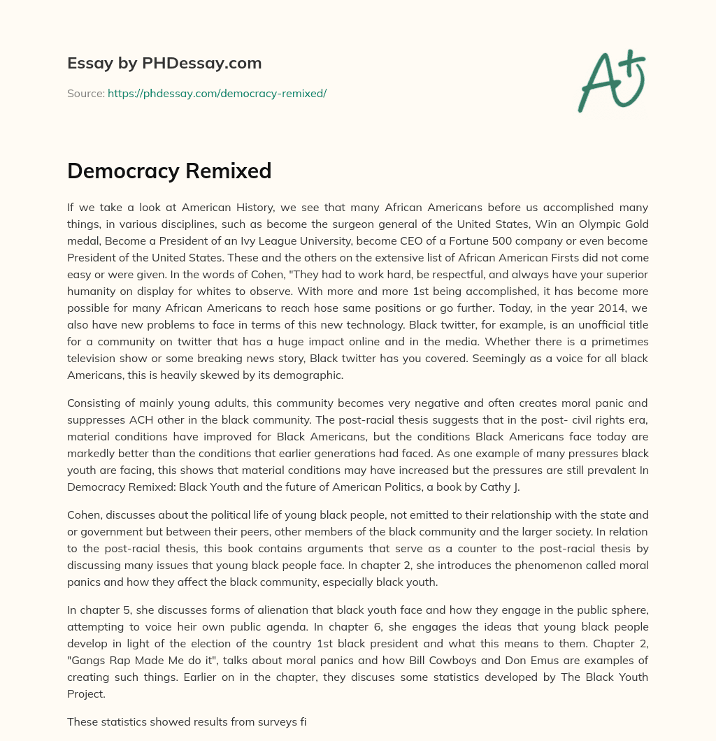 Democracy Remixed essay