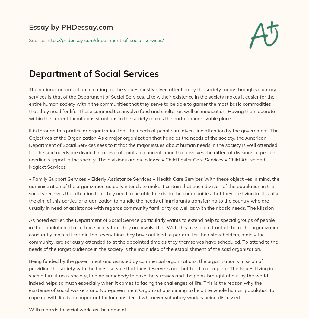 Department of Social Services essay