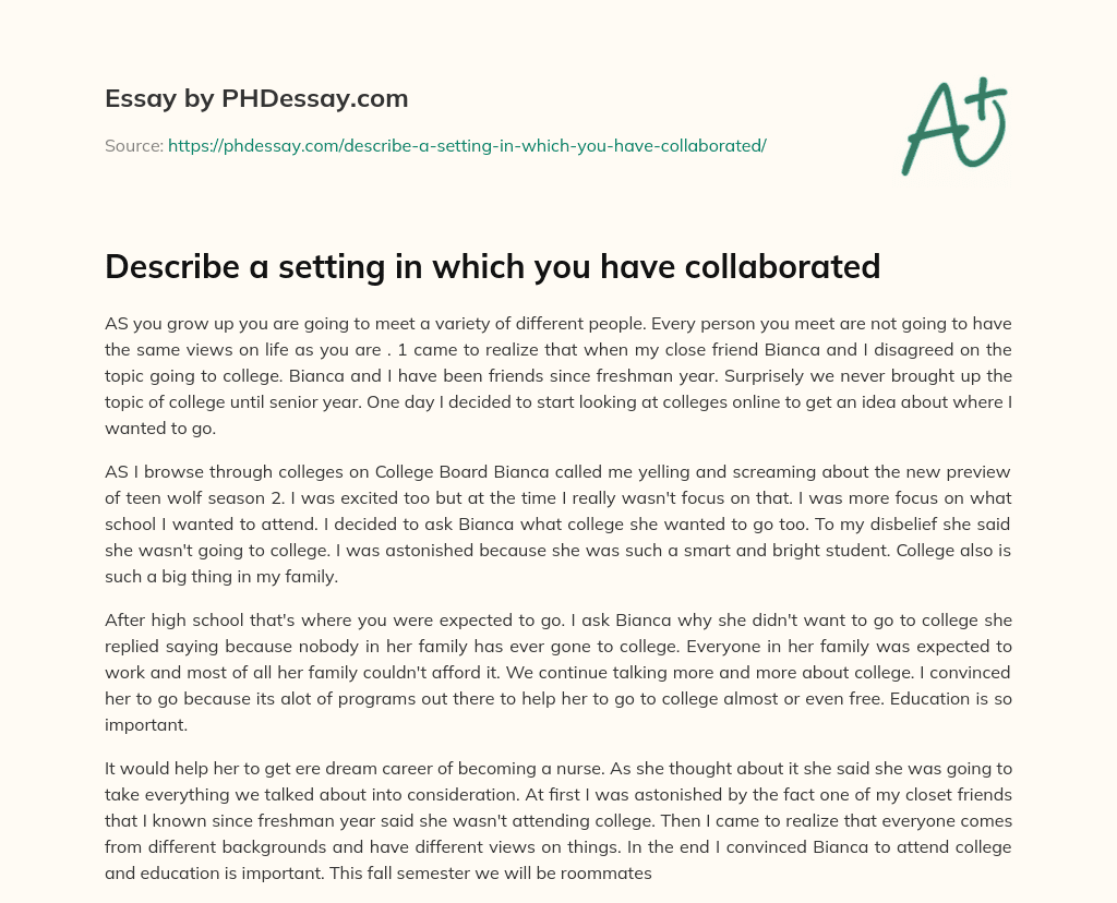Describe a setting in which you have collaborated essay