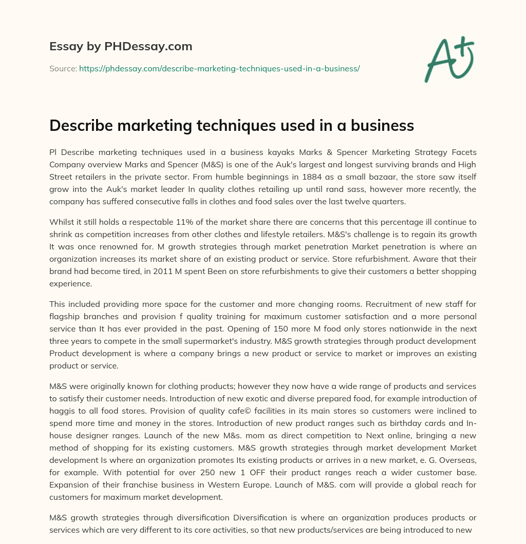 Describe marketing techniques used in a business essay