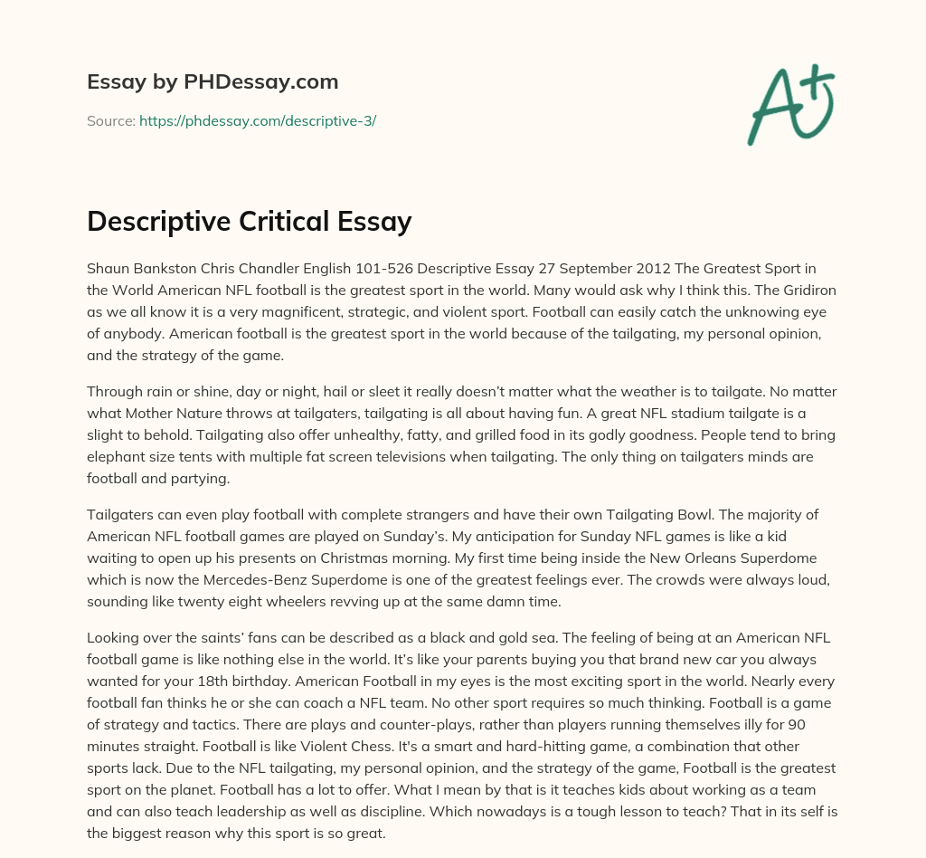 Descriptive Critical Essay essay