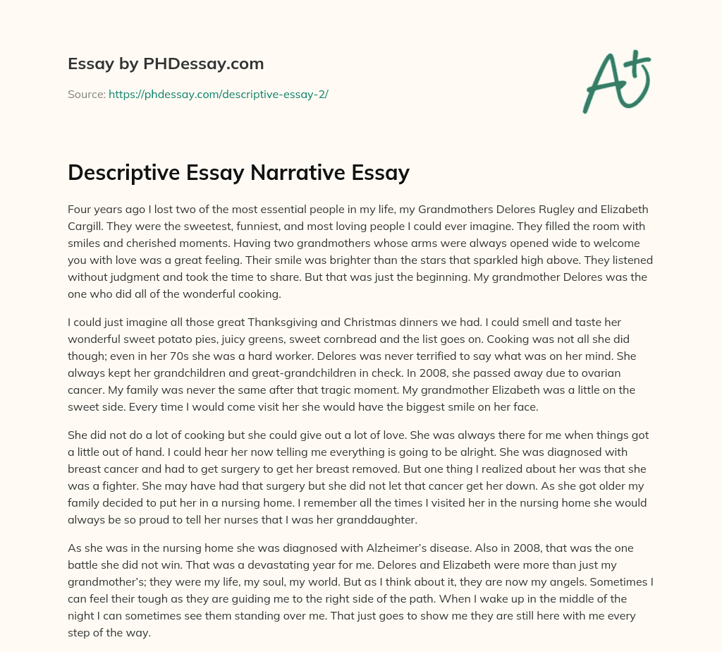 Descriptive Essay Narrative Essay essay