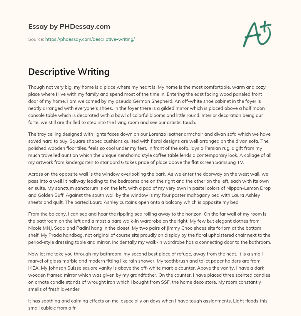 Descriptive Writing essay