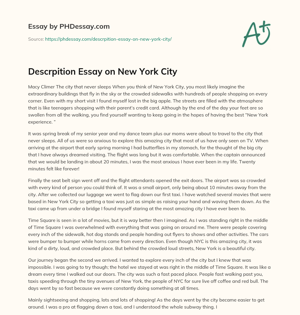 Descrpition Essay on New York City essay