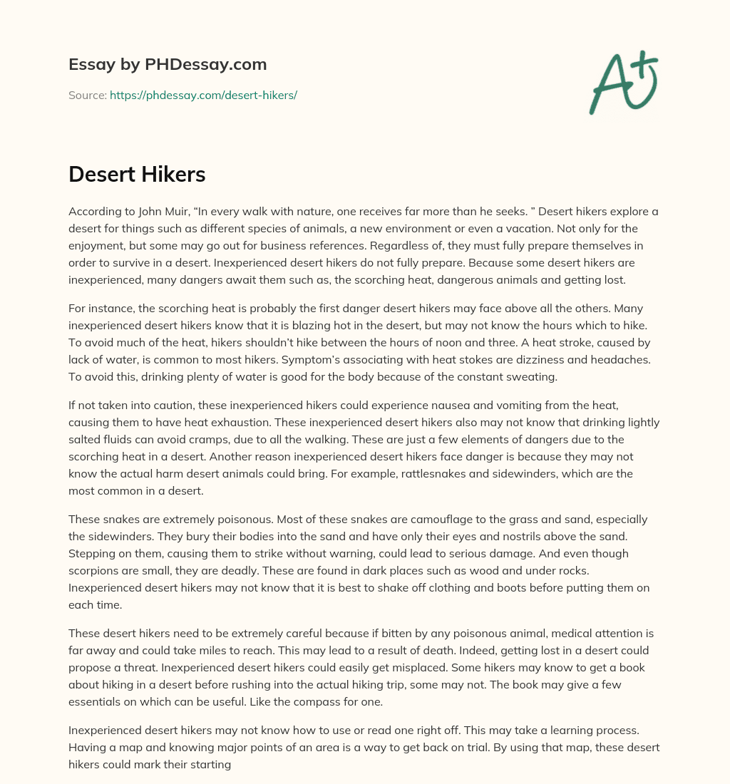 Desert Hikers essay