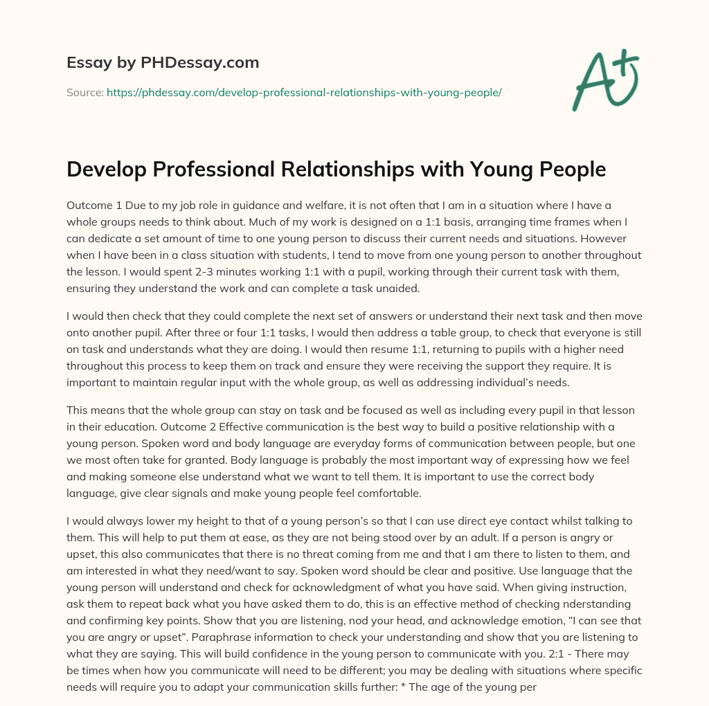 Develop Professional Relationships with Young People essay