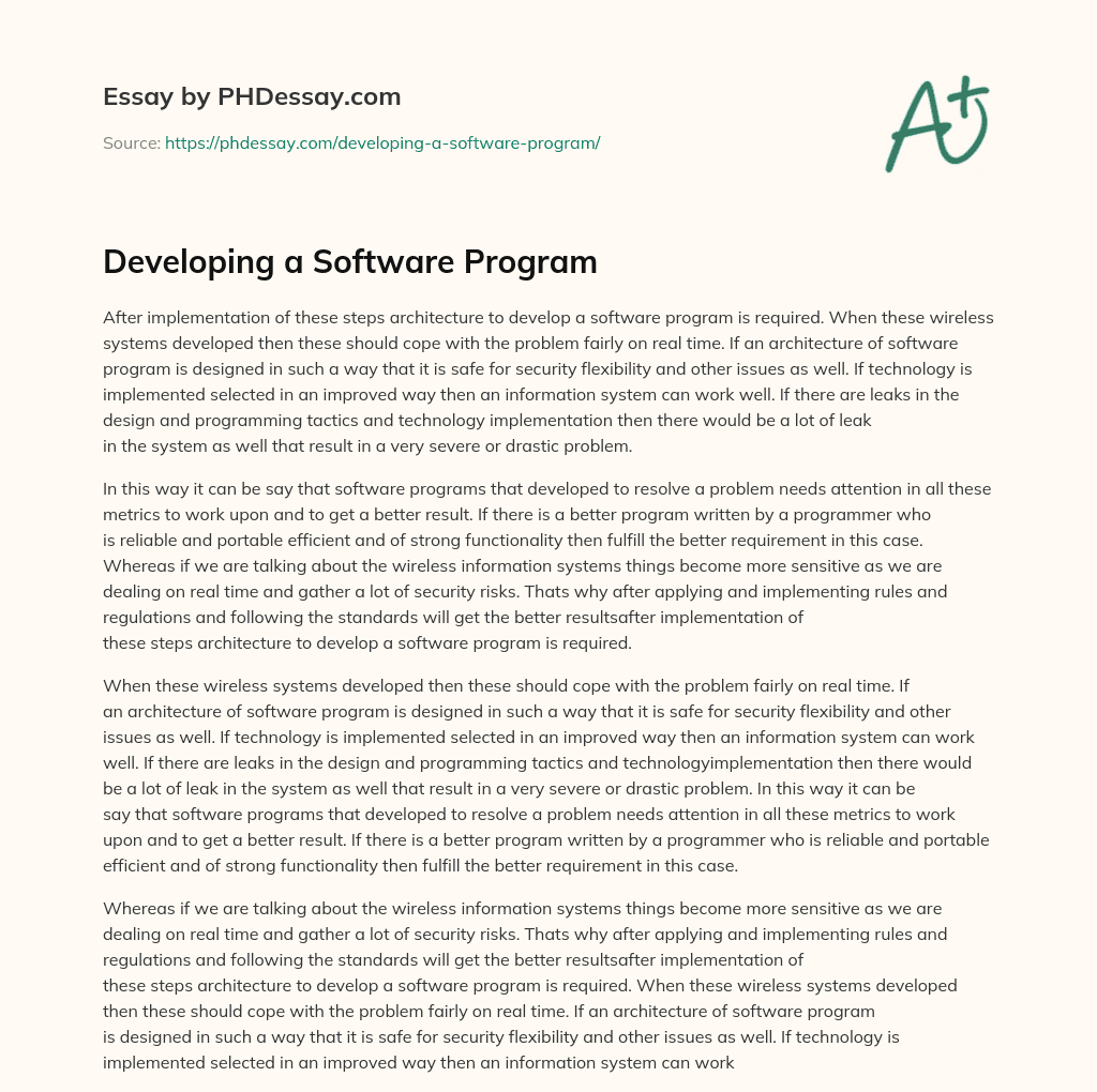 Developing a Software Program essay