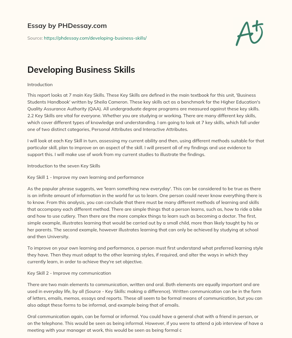 Developing Business Skills essay
