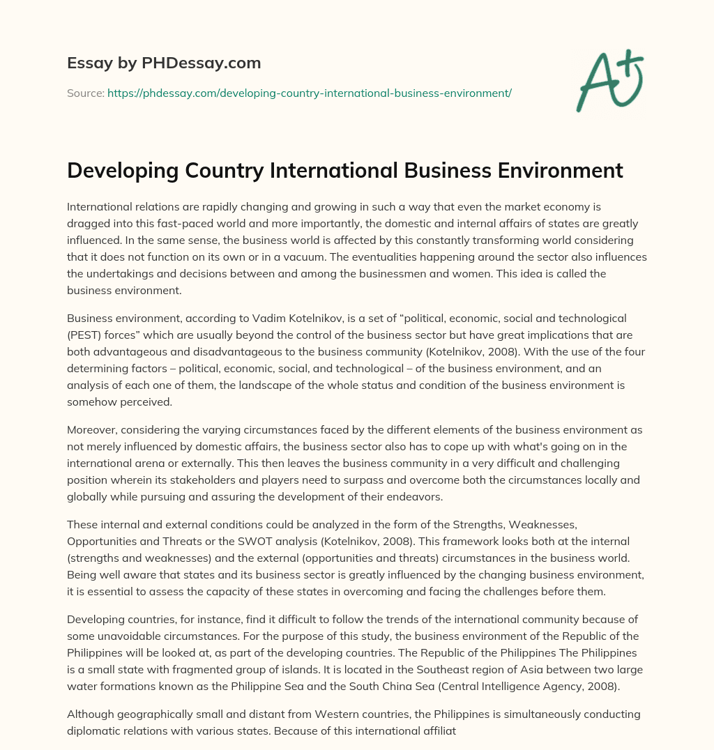 Developing Country International Business Environment essay