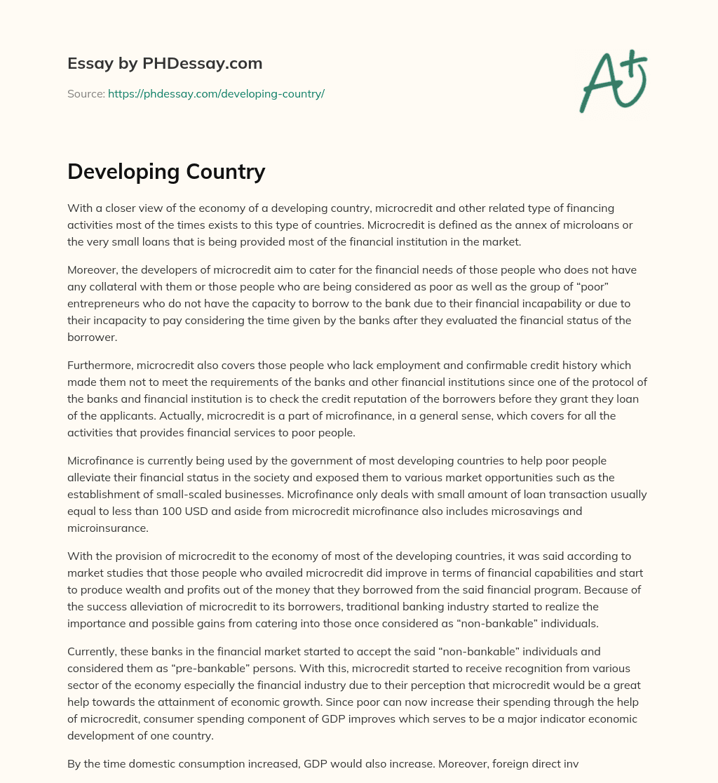 Developing Country essay
