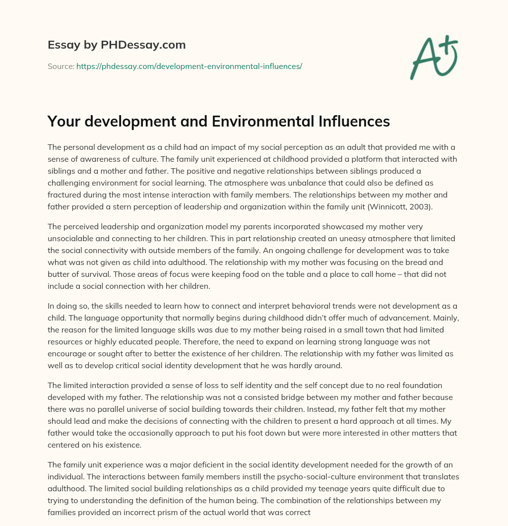 Your development and Environmental Influences essay