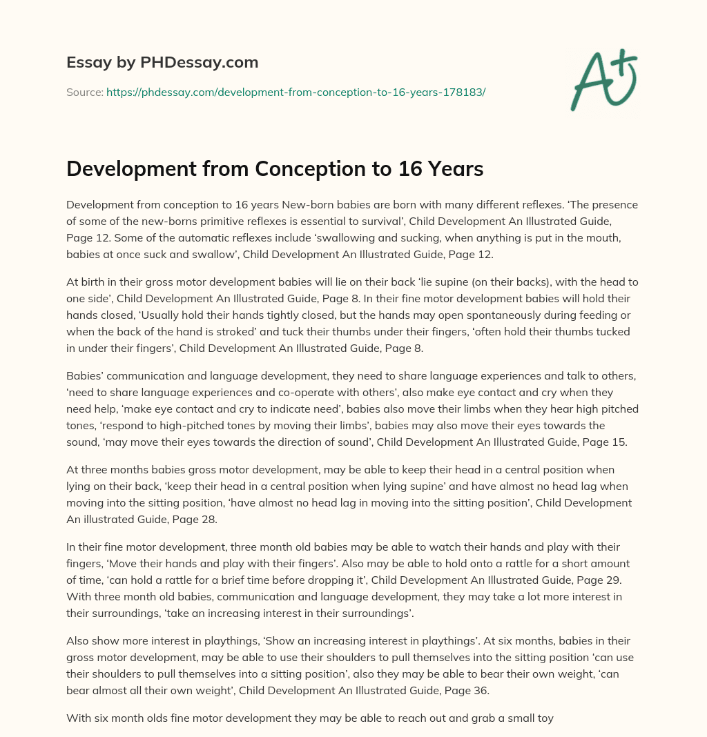 Development from Conception to 16 Years essay