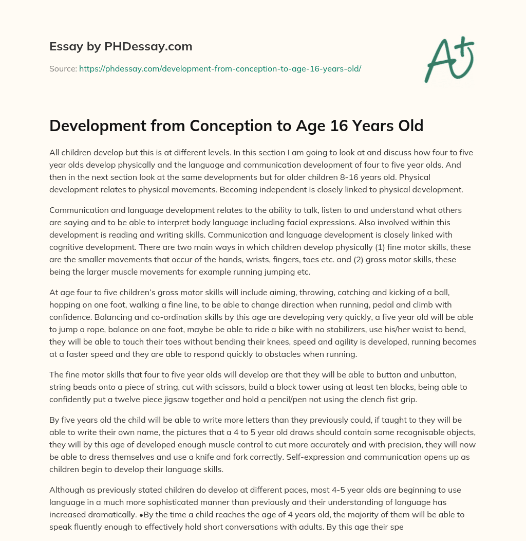 Development from Conception to Age 16 Years Old essay