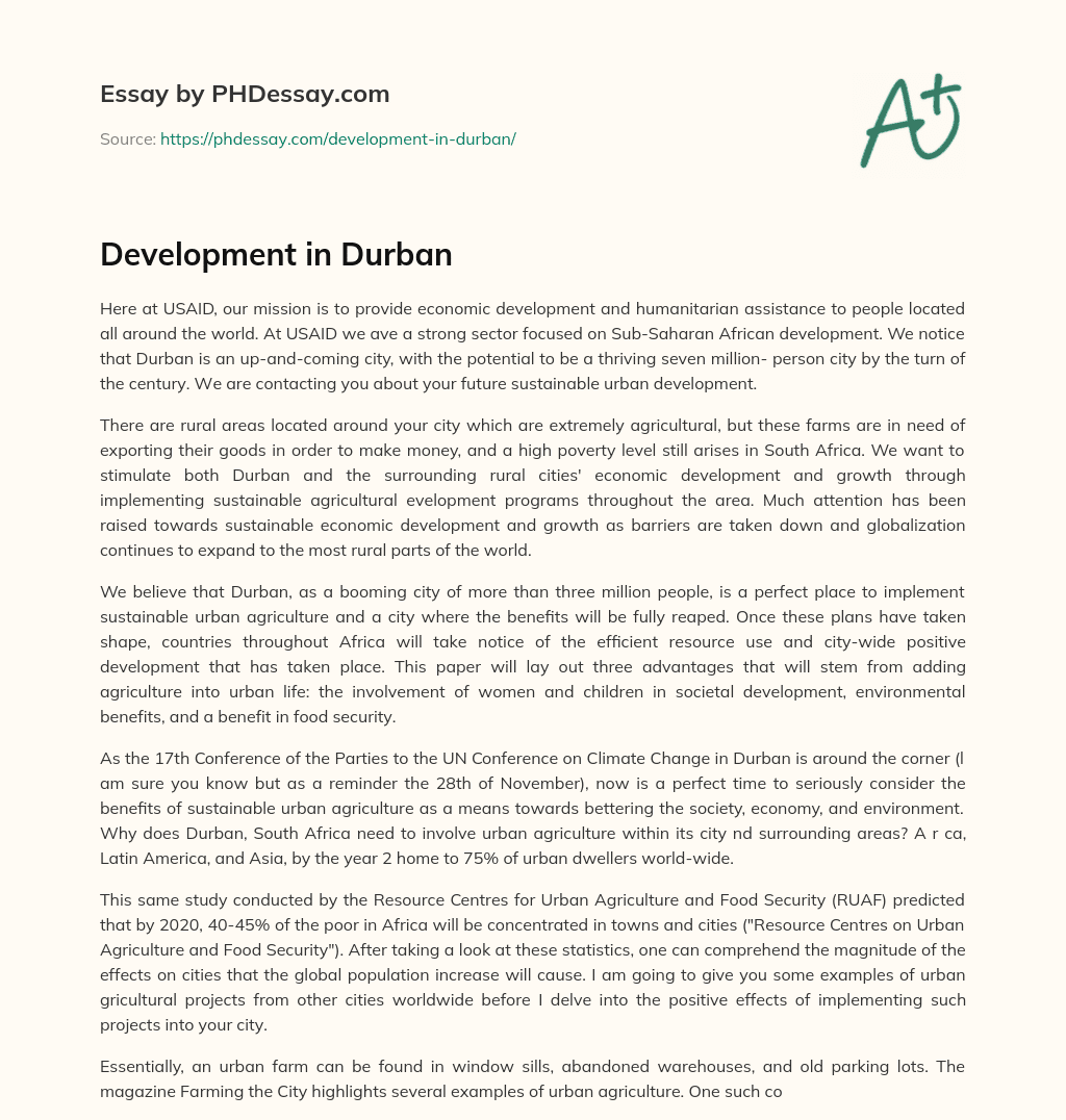 Development in Durban essay