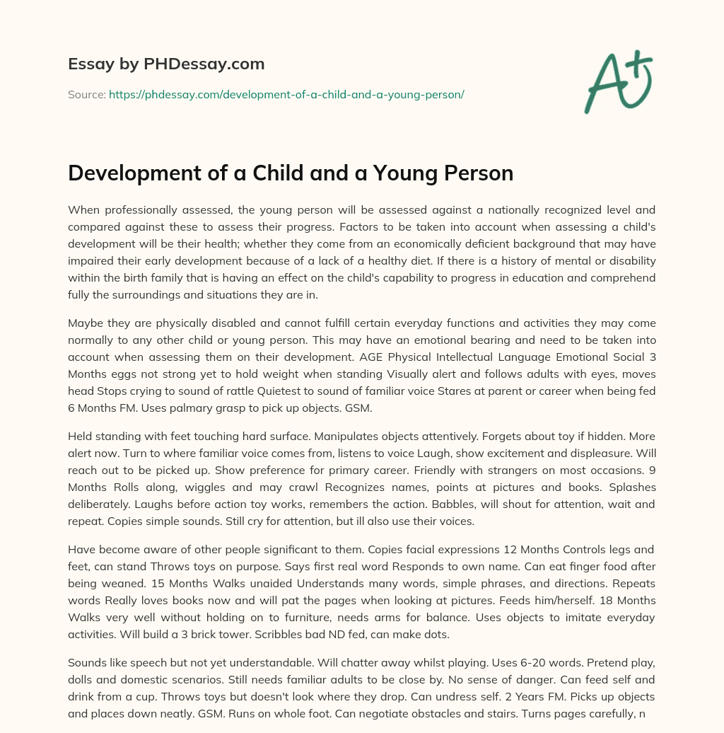 Development of a Child and a Young Person essay