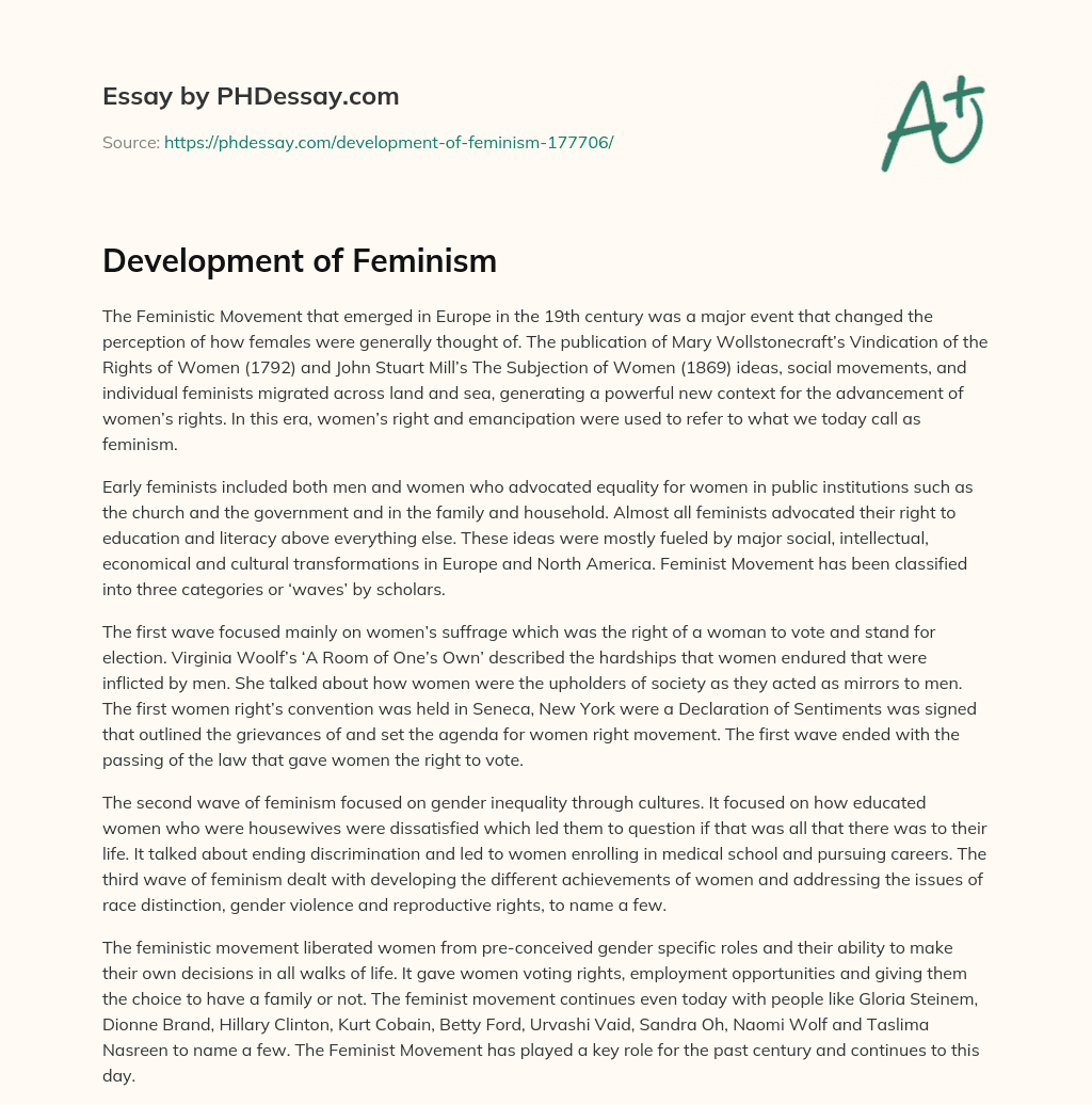 Development of Feminism essay