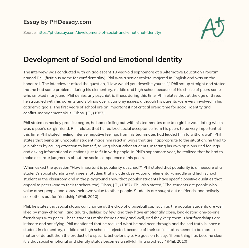 Development of Social and Emotional Identity essay