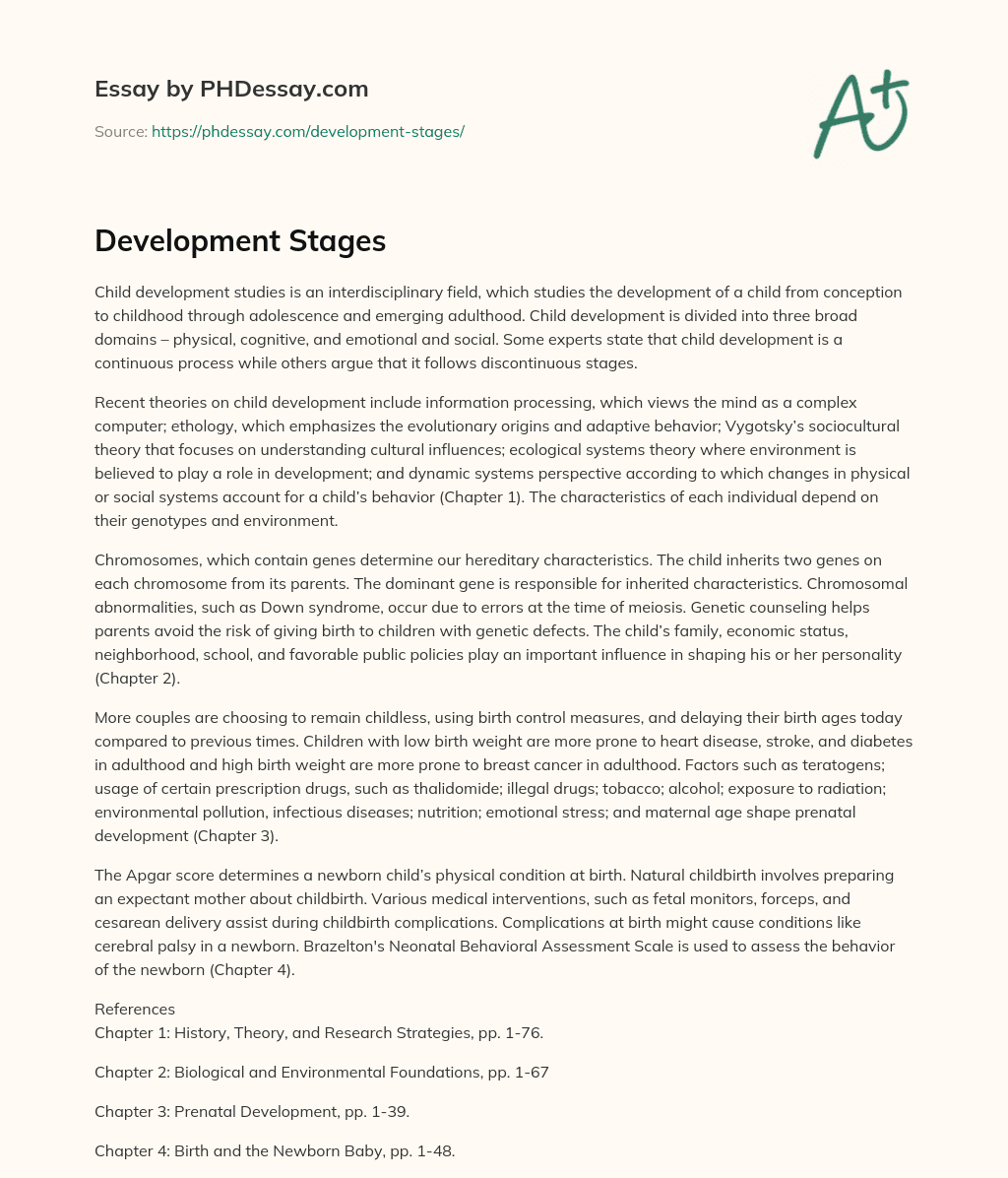Development Stages essay