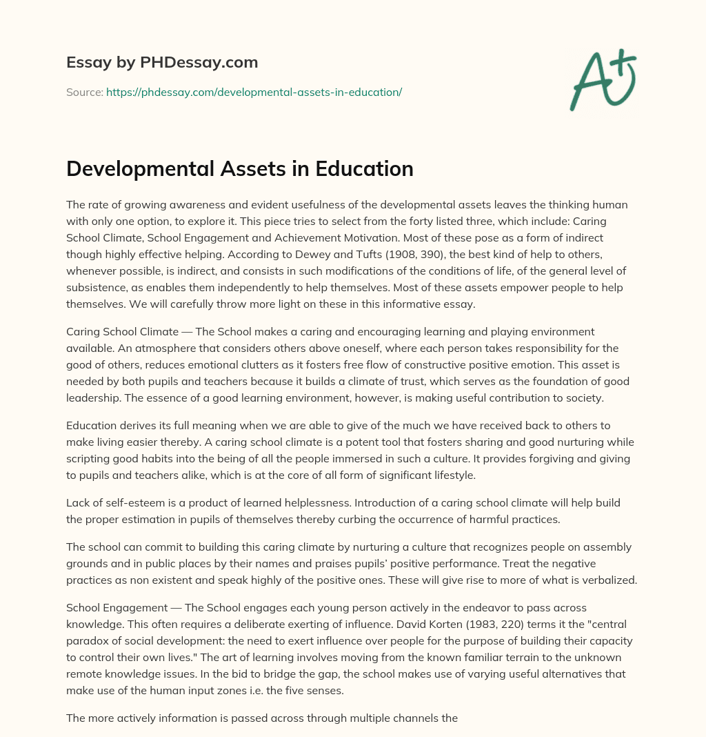 Developmental Assets in Education essay