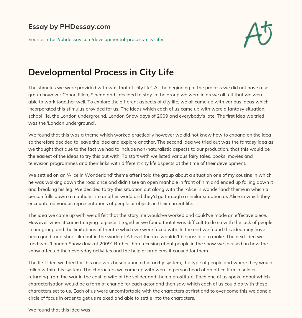 Developmental Process in City Life essay